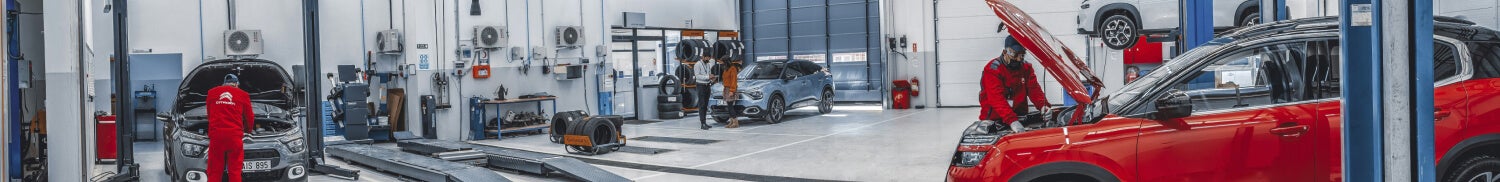 Your Local Volkswagen Service Center